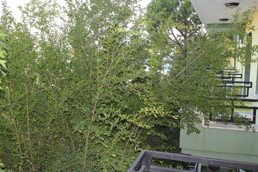 Flora Hotel Koycegiz  Chambre photo